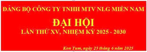 ĐẠI HỘI ĐẢNG BỘ CTY NHIỆM KỲ 2025-2030 THÀNH CÔNG TỐT ĐẸP