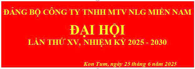 ĐẠI HỘI ĐẢNG BỘ CTY NHIỆM KỲ 2025-2030 THÀNH CÔNG TỐT ĐẸP