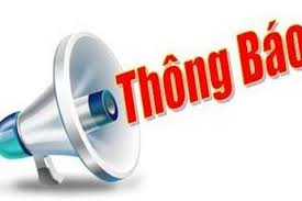 THÔNG BÁO BÁN NHỰA THÔNG TẠI RỪNG CHƯA KHAI THÁC